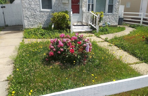 Hempstead House | PEARL'S CAPE COD/NEAR HEMPSTEAD LAKE PARK