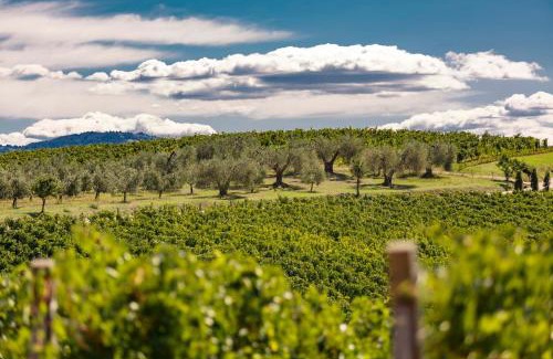 Cinigiano House | Pecora Vecchia - ColleMassari Hospitality