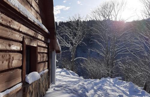 Cisna Apartment | PEGAZOWA WOLA CISNA