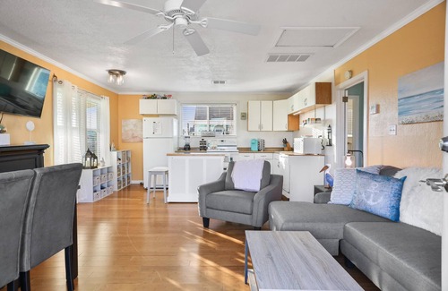 Galveston House | Pelicans soar! Oean view and steps to the beach. Remodeled & pet friendly too.