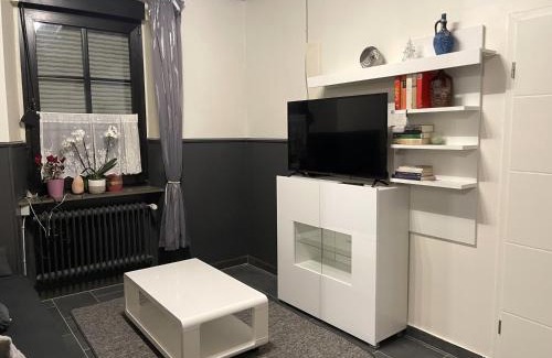 Pellingen Apartment | Pellinger-Hof PH0