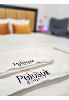 Kapar House | Pelosok Homestay with Pool Meru Klang Selangor