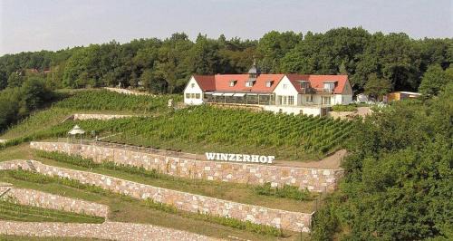 Diera-Zehren House | Pension Bella Vista - Winzerhof Golk
