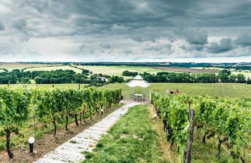 Diera-Zehren House | Pension Bella Vista - Winzerhof Golk