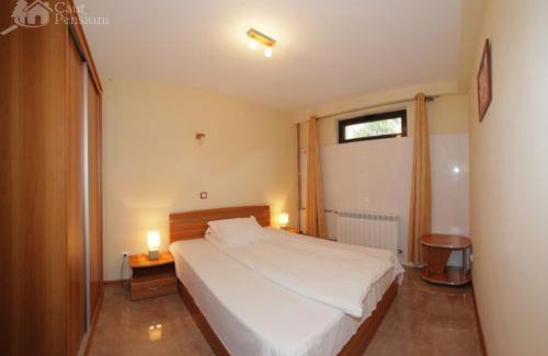 Baile Herculane House | Pension Camelia