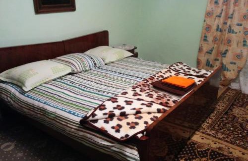 Baile Herculane House | Pension Casa Anadam
