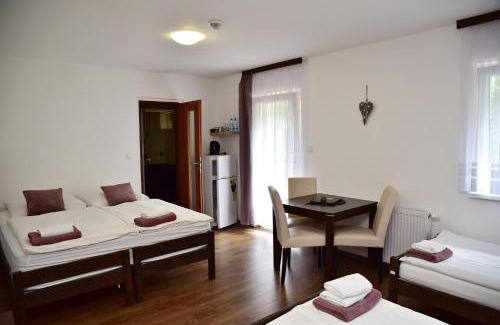 Mikulov v Krusnych Horach House | Pension U Krbu