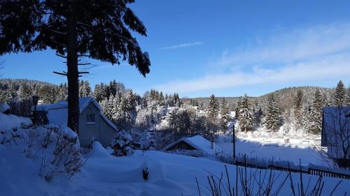 Stutzerbach House | Pension & Gasthof "Am Park" UG