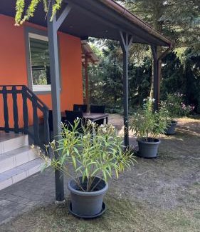 Belgern-Schildau House | Pension Lausa