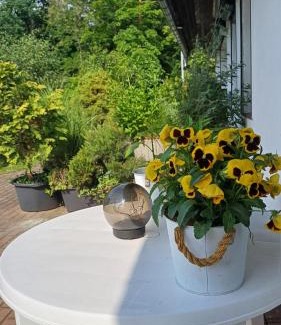 Hoyerswerda House | Pension Mark