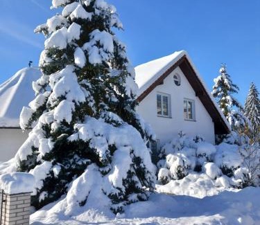 Hamry nad Sazavou House | Pension Najdek