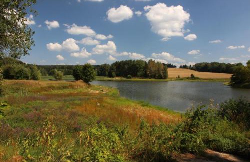 Hamry nad Sazavou House | Pension Najdek