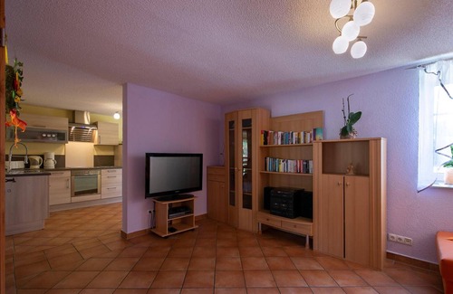 Bad Brambach Apartment | Pension 'Schmidt' with Lake View, Private Terrace and Wi-Fi