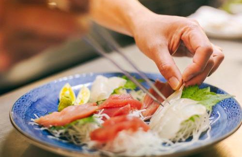 Toyo-cho Hotel | Pension Shishikui