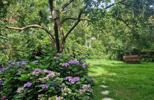 Dessau-Rosslau House | Pension Siewert