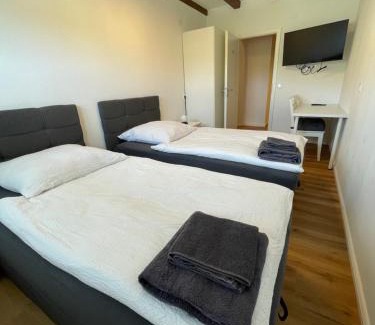 Frankenberg House | Pension Soldan