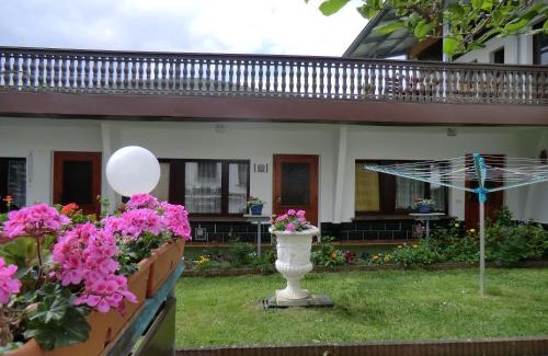 Bad Blankenburg House | Pension Villa Brödel