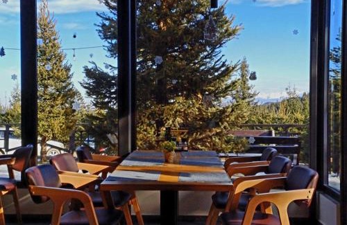 Paltinis Hotel | Pensiune & Restaurant Victoria