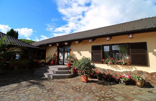 Darmanesti House | Pensiunea Adolescenta