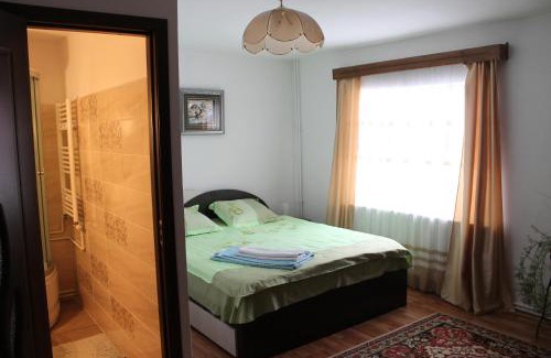 Vatra Dornei House | Pensiunea Alecsandra