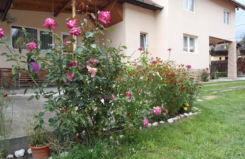 Rucar House | Pensiunea Arkoudaki