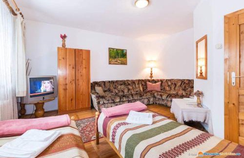 Sfantu Gheorghe House | PENSIUNEA BORDÁS PANZIÓ