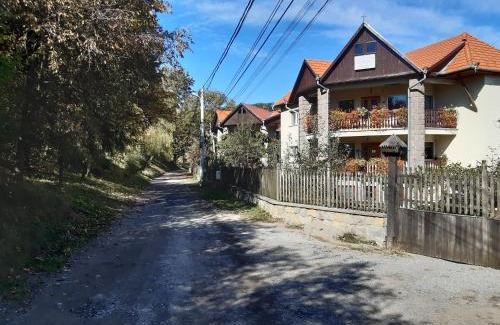 Sfantu Gheorghe House | PENSIUNEA BORDÁS PANZIÓ