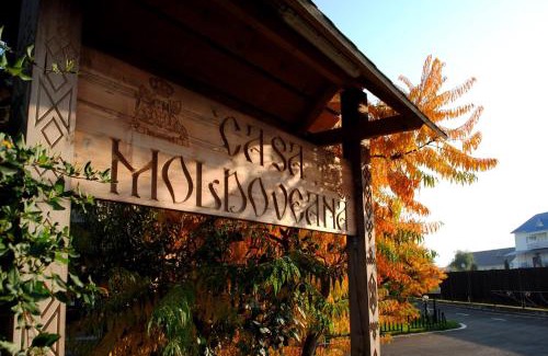 Piatra Neamt Hotel | Pensiunea CASA MOLDOVEANA