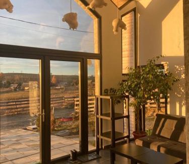 Marisel Bed & Breakfast | Pensiunea CASA SPANDO
