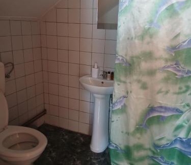 Salciua de Jos House | Pensiunea codru