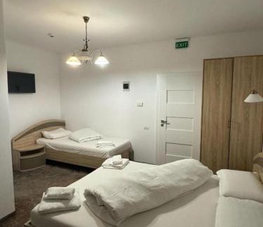 Moldova Noua Hotel | Pensiunea Elis