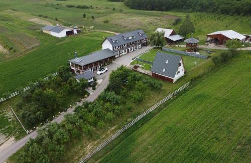 Cergau Mare House | Pensiunea Fata Viilor