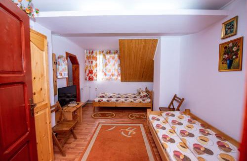 Vatra Dornei House | Pensiunea Flori de Camp