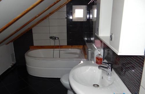 Albestii Paminteni House | Pensiunea Lacul Albesti