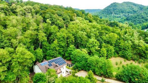 Copacelu House | PENSIUNEA LUI CALIN