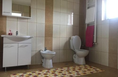 Vaslui House | Pensiunea lui George