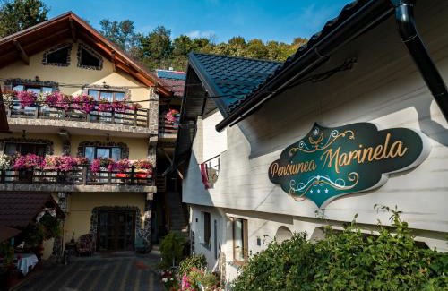 Vadu Izei House | Pensiunea Marinela