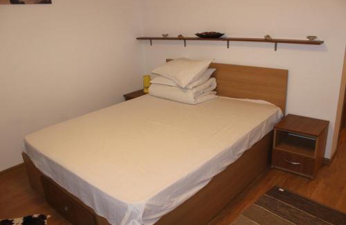 Timisu de Sus Cabin | Pensiunea Martinel