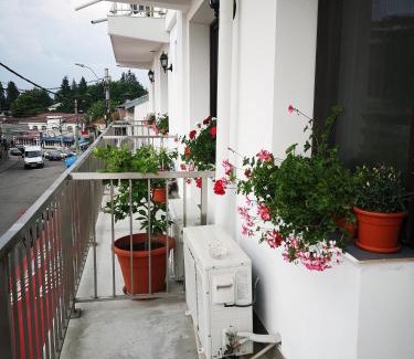 Curtea De Arges House | Pensiunea Mikelis International