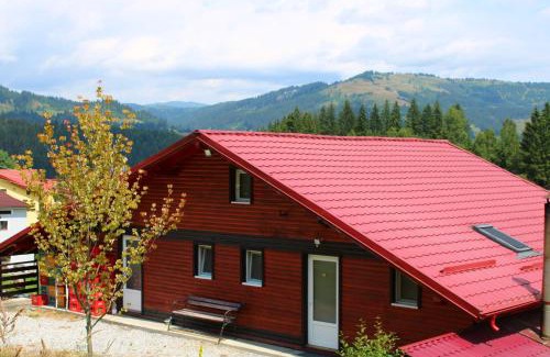 Vatra Dornei House | Pensiunea Negrești