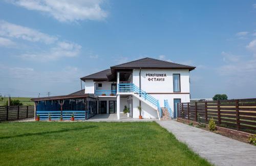 Murighiol House | Pensiunea Octavis - Cazare în Delta Dunarii