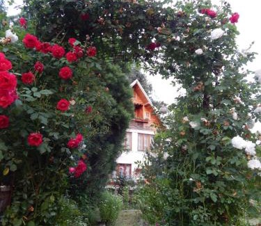 Valea Danului House | Pensiunea Paradis