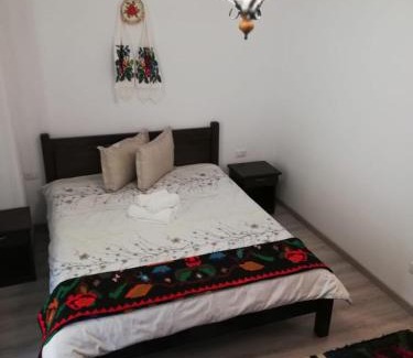 Moisei House | Pensiunea Pietrosul Rodnei