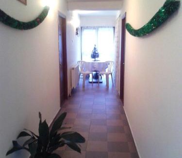 Baile Herculane House | Pensiunea Pinul Negru