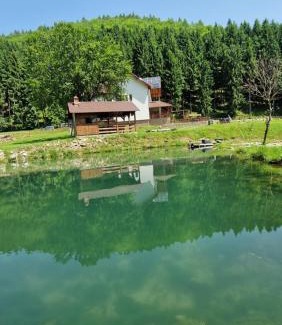 Zagra House | Pensiunea Poiana Țibleș
