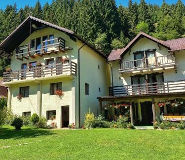 Moeciu de Sus House | Pensiunea Puiu