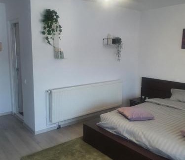 Curtea De Arges House | Pensiunea Relax