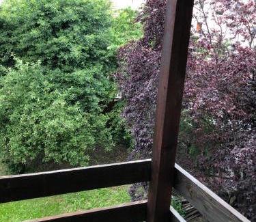 Ramnicu Valcea House | Pensiunea Residence