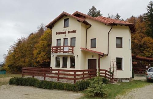 Cristian House | Pensiunea Rozelor Stațiunea Climaterică Sâmbăta