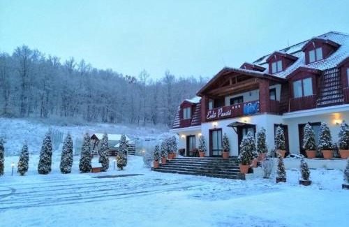 Feliceni Bed & Breakfast | Pensiunea si Restaurant Erdo